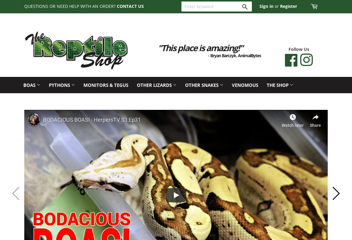 The reptile shop top