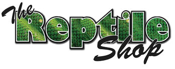 The Reptile Shop 